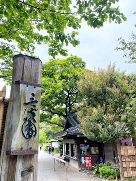 三溪園に投稿された画像（2023/4/22）