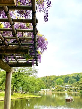 三溪園に投稿された画像（2023/4/22）