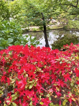 三溪園に投稿された画像（2023/4/22）