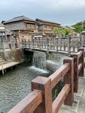 小江戸さわら 舟めぐりに投稿された画像（2023/4/22）