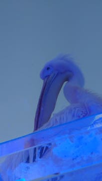 サンシャイン水族館に投稿された画像（2023/4/22）