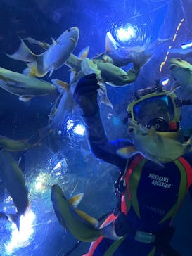 しながわ水族館に投稿された画像（2023/4/22）