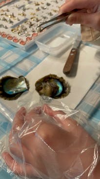 しながわ水族館に投稿された画像（2023/4/22）