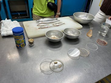 しながわ水族館に投稿された画像（2023/4/22）