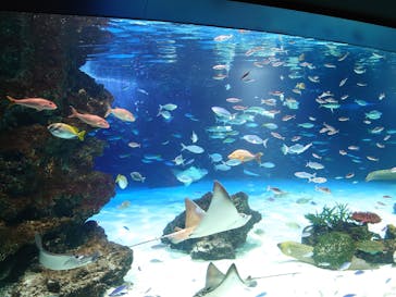 サンシャイン水族館に投稿された画像（2023/4/22）