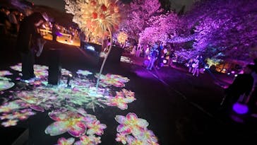 NAKED 桜の新宿御苑 2023に投稿された画像（2023/4/22）