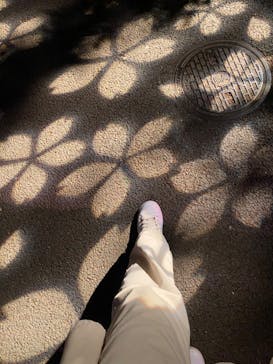 NAKED 桜の新宿御苑 2023に投稿された画像（2023/4/22）