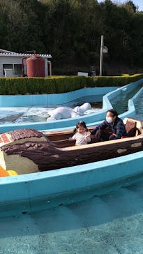 日本モンキーパークに投稿された画像（2023/4/22）