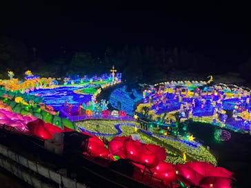 伊豆ぐらんぱる公園に投稿された画像（2023/4/22）