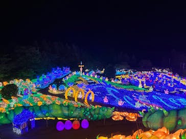 伊豆ぐらんぱる公園に投稿された画像（2023/4/22）