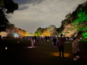 NAKED 桜の新宿御苑 2023に投稿された画像（2023/4/22）