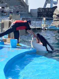 名古屋港水族館に投稿された画像（2023/4/22）