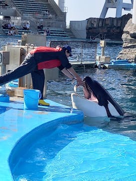 名古屋港水族館に投稿された画像（2023/4/22）