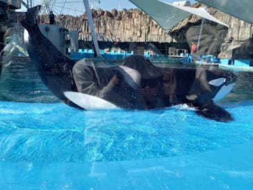 名古屋港水族館に投稿された画像（2023/4/22）