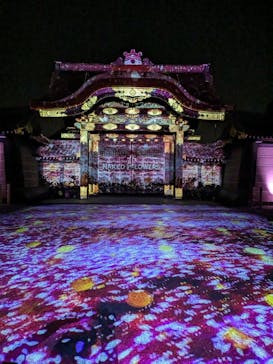 『NAKED FLOWERS 2023 桜 世界遺産・二条城』に投稿された画像（2023/4/22）