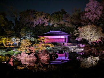『NAKED FLOWERS 2023 桜 世界遺産・二条城』に投稿された画像（2023/4/22）