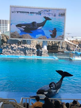 名古屋港水族館に投稿された画像（2023/4/22）