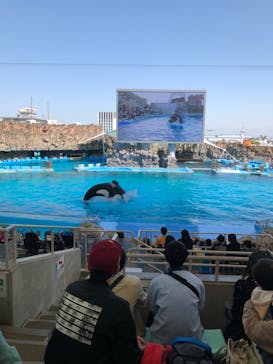 名古屋港水族館に投稿された画像（2023/4/22）