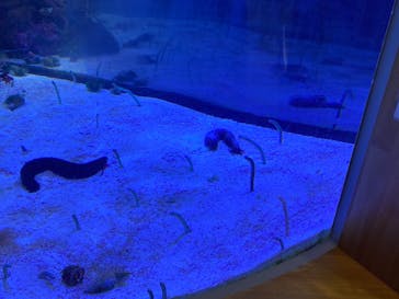 名古屋港水族館に投稿された画像（2023/4/22）