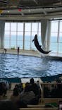 アクアワールド茨城県大洗水族館に投稿された画像（2023/4/22）