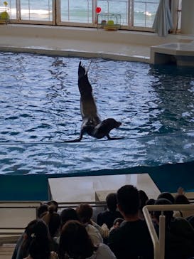 アクアワールド茨城県大洗水族館に投稿された画像（2023/4/22）