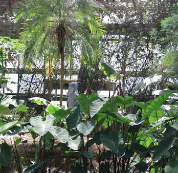 神戸どうぶつ王国に投稿された画像（2023/4/22）