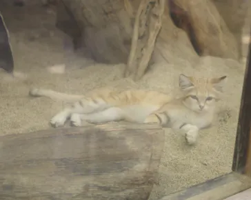 神戸どうぶつ王国に投稿された画像（2023/4/22）