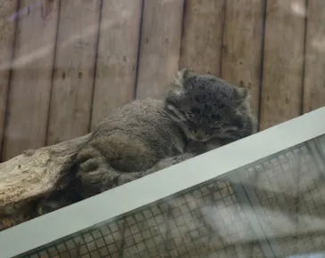 神戸どうぶつ王国に投稿された画像（2023/4/22）
