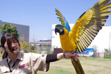 神戸どうぶつ王国に投稿された画像（2023/4/22）