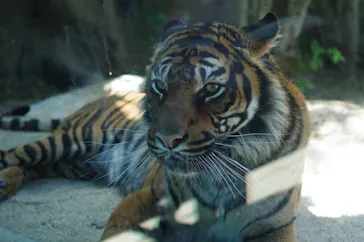 神戸どうぶつ王国に投稿された画像（2023/4/22）