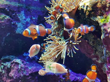 サンシャイン水族館に投稿された画像（2023/4/22）