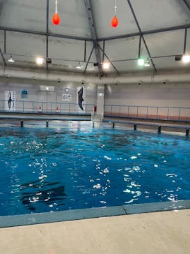 登別マリンパークニクスに投稿された画像（2023/4/22）