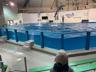 登別マリンパークニクスに投稿された画像（2023/4/22）