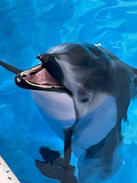 登別マリンパークニクスに投稿された画像（2023/4/22）