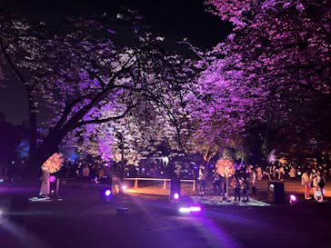 NAKED 桜の新宿御苑 2023に投稿された画像（2023/4/22）