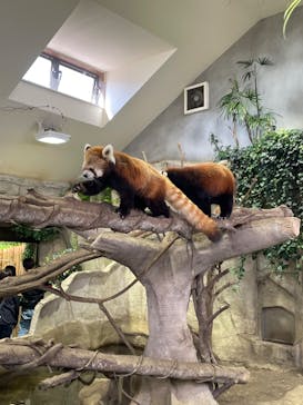 那須どうぶつ王国に投稿された画像（2023/4/22）