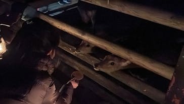 群馬サファリパークに投稿された画像（2023/4/22）