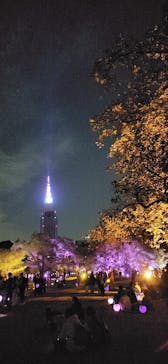 NAKED 桜の新宿御苑 2023に投稿された画像（2023/4/22）