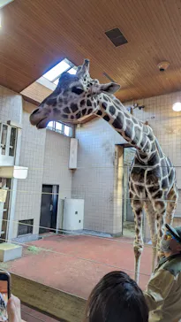 天王寺動物園に投稿された画像（2023/3/20）