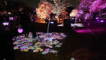 NAKED 桜の新宿御苑 2023に投稿された画像（2023/4/23）