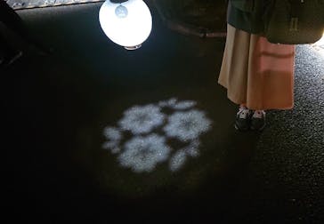 NAKED 桜の新宿御苑 2023に投稿された画像（2023/4/23）