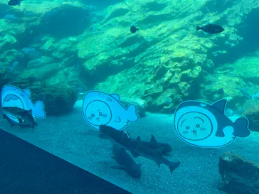 仙台うみの杜水族館に投稿された画像（2023/4/23）