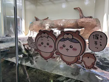 仙台うみの杜水族館に投稿された画像（2023/4/23）