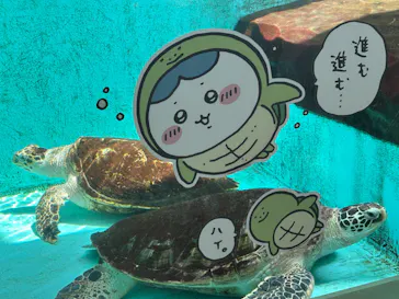 仙台うみの杜水族館に投稿された画像（2023/4/23）