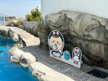 仙台うみの杜水族館に投稿された画像（2023/4/23）