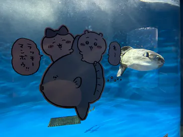 仙台うみの杜水族館に投稿された画像（2023/4/23）