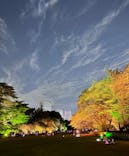 NAKED 桜の新宿御苑 2023に投稿された画像（2023/4/23）