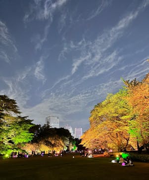 NAKED 桜の新宿御苑 2023に投稿された画像（2023/4/23）