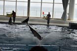 アクアワールド茨城県大洗水族館に投稿された画像（2023/4/23）