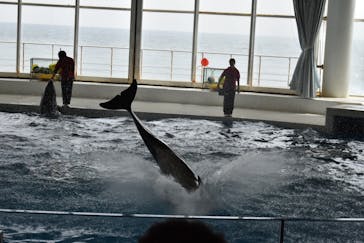 アクアワールド茨城県大洗水族館に投稿された画像（2023/4/23）